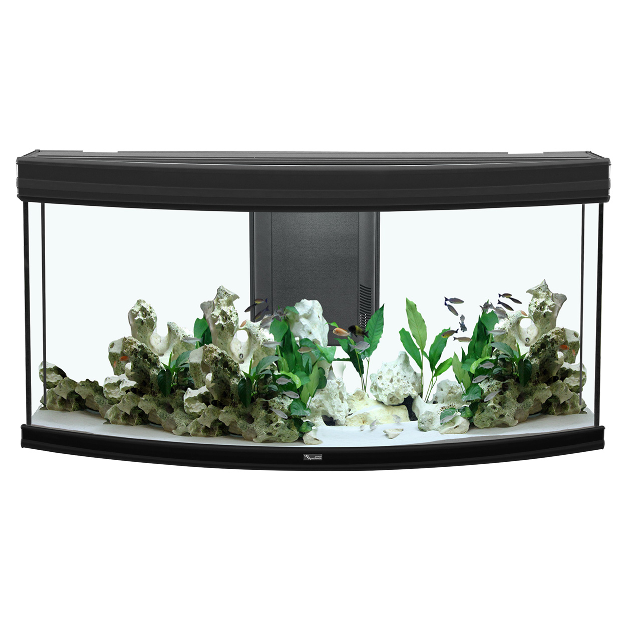 Highquality aquariums AQUAMERIK